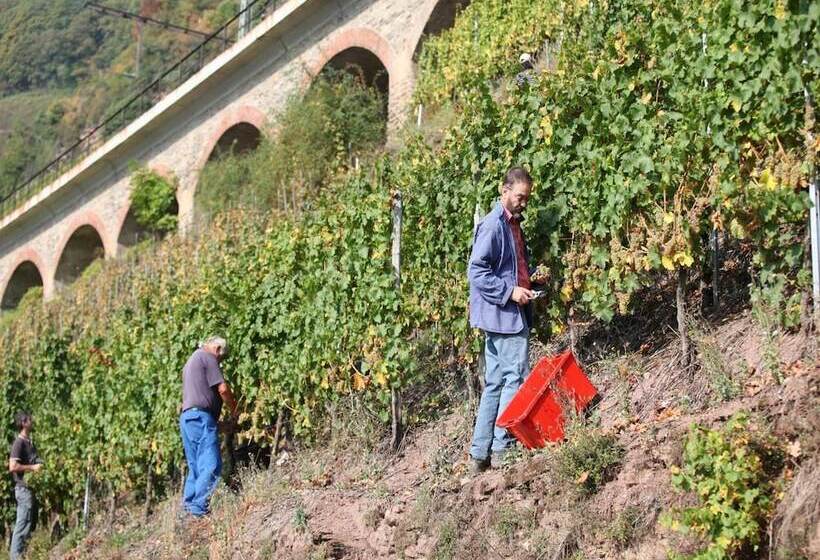 פנסיון Wein & Wohngut Paulushof