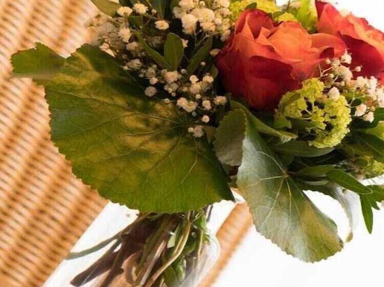 פנסיון Wein & Wohngut Paulushof