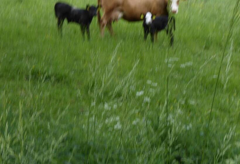 Pension Haus Zur Orke