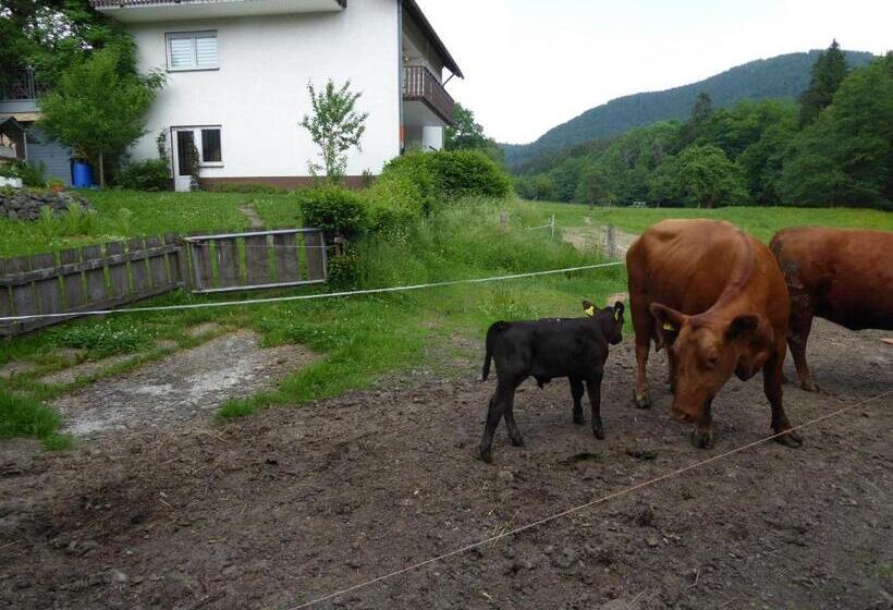 Pension Haus Zur Orke