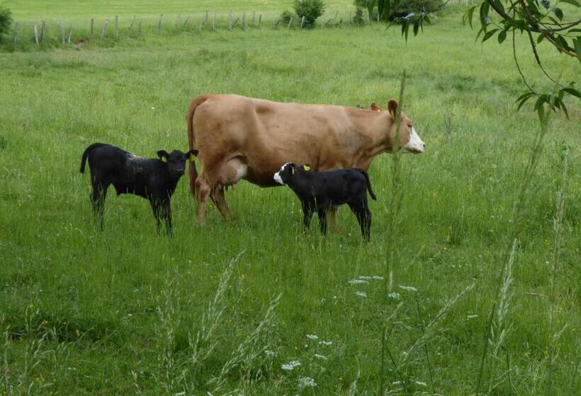 Pension Haus Zur Orke