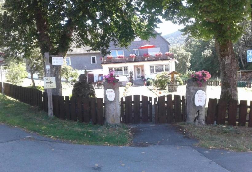 Pension Haus Zur Orke