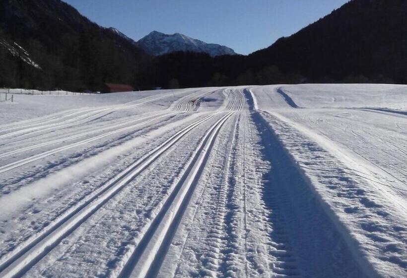 Pension Rauschberghof