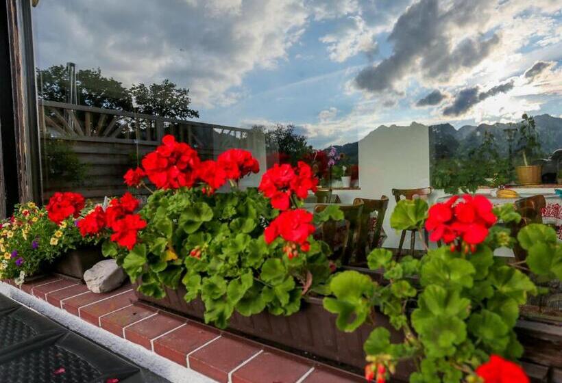 Pension Rauschberghof