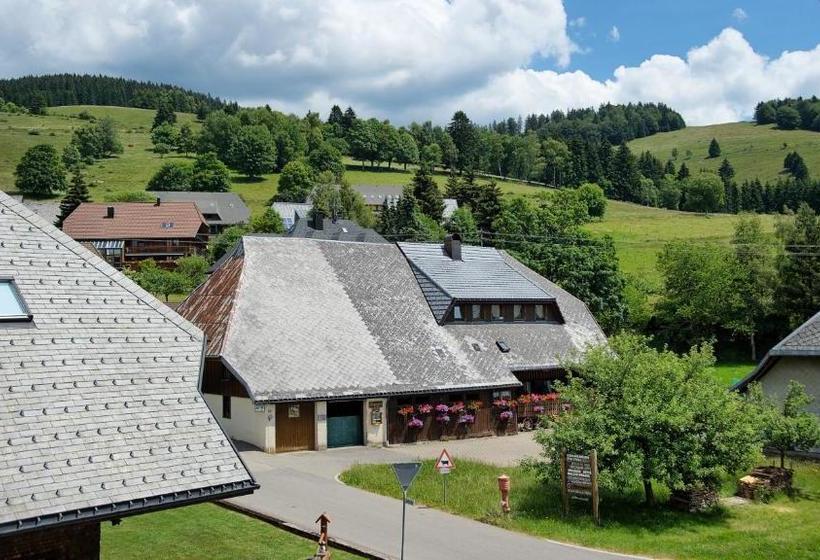 旅馆 Gasthaus Löwen