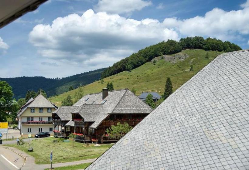 旅馆 Gasthaus Löwen