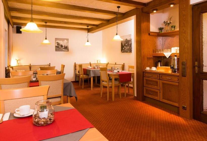 호스텔 Gästehaus Carola