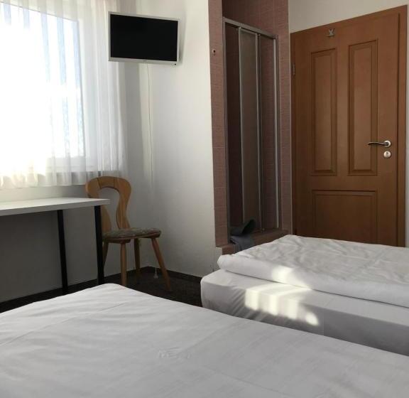 ユースホステル Landgasthof Felsenkeller