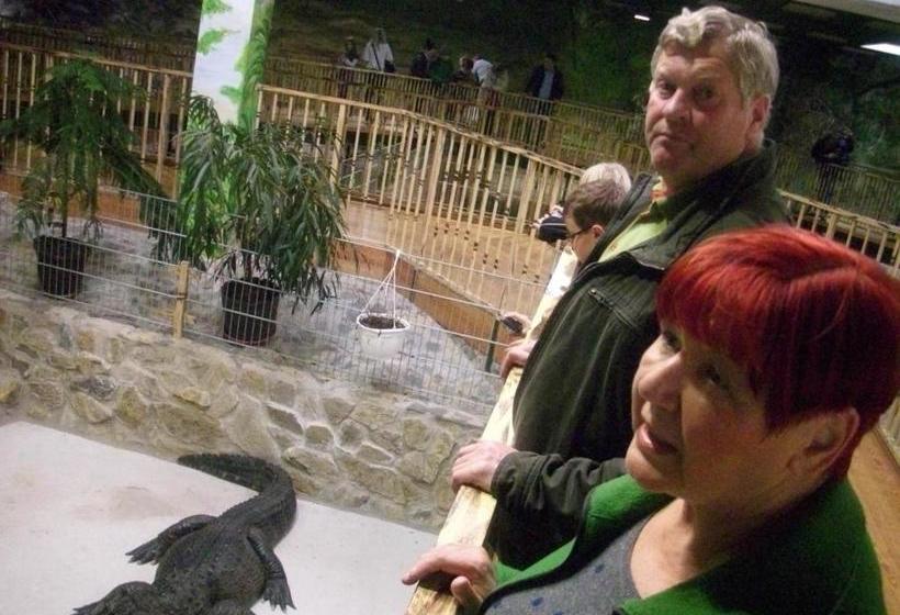 ペンション Die Radler Scheune Finsterbergen