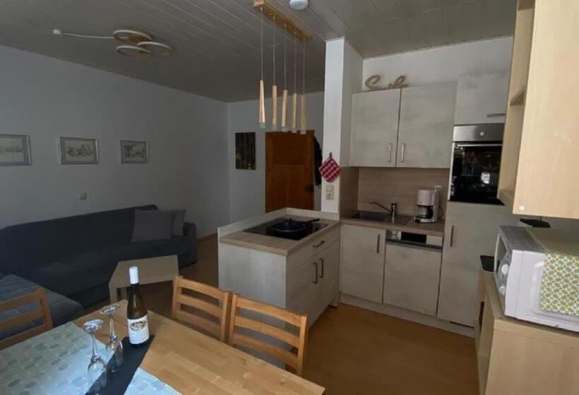 膳宿费 Ferienhaus Schneiders