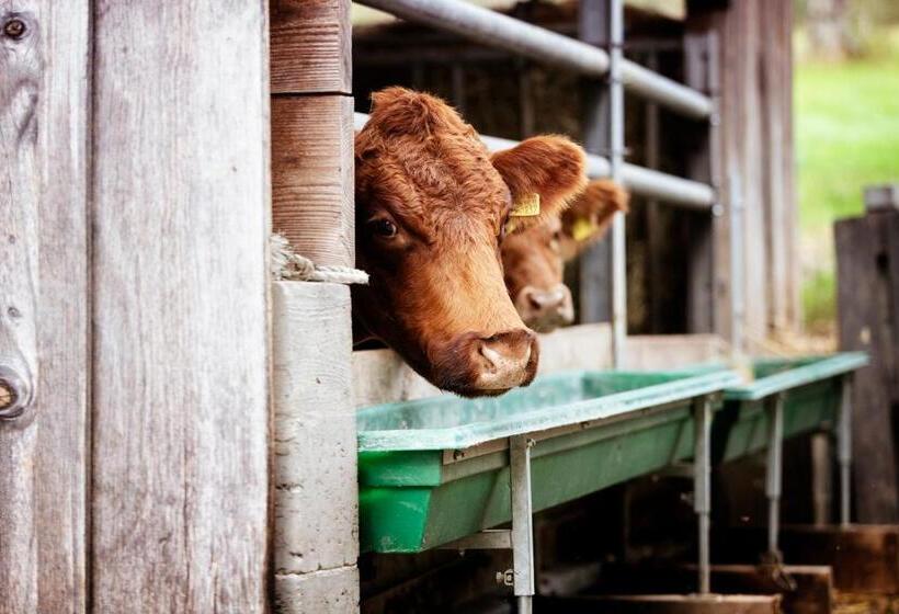 פנסיון Gasthaus Post