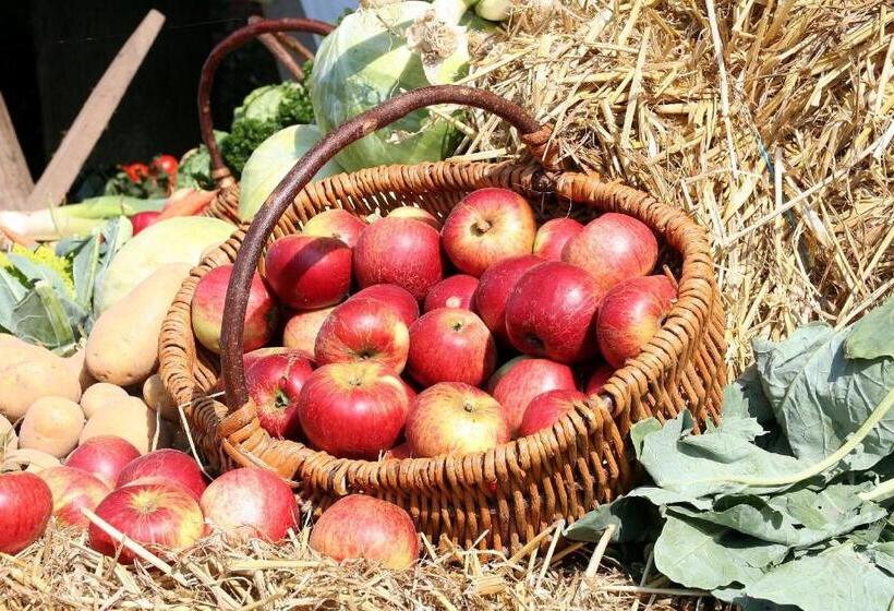 펜션 Gästehaus Steker