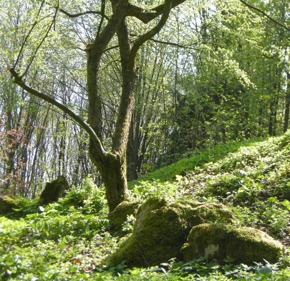 펜션 Gästehaus Steker