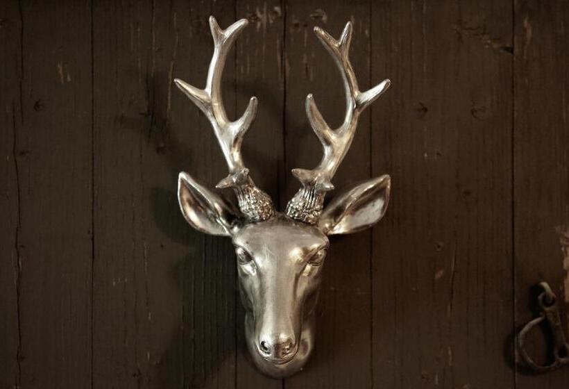 膳宿费 Gästehaus Weller