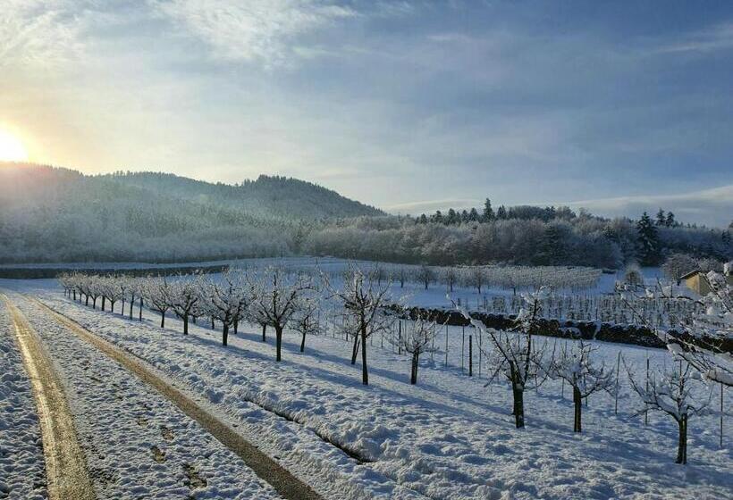 Пансион Gästehaus Wörner
