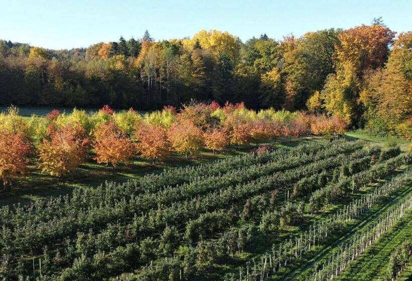 Пансион Gästehaus Wörner