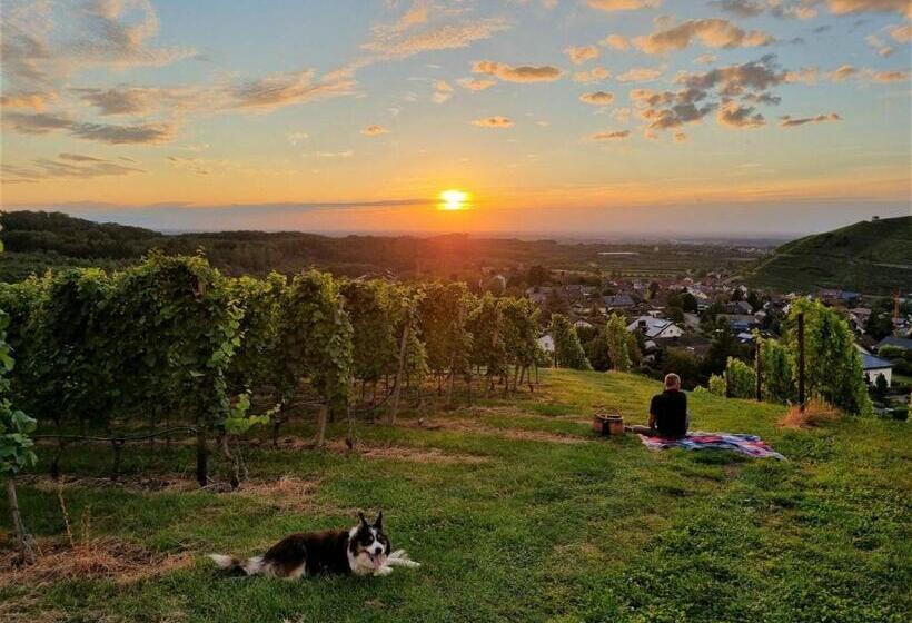 Пансион Gästehaus Wörner