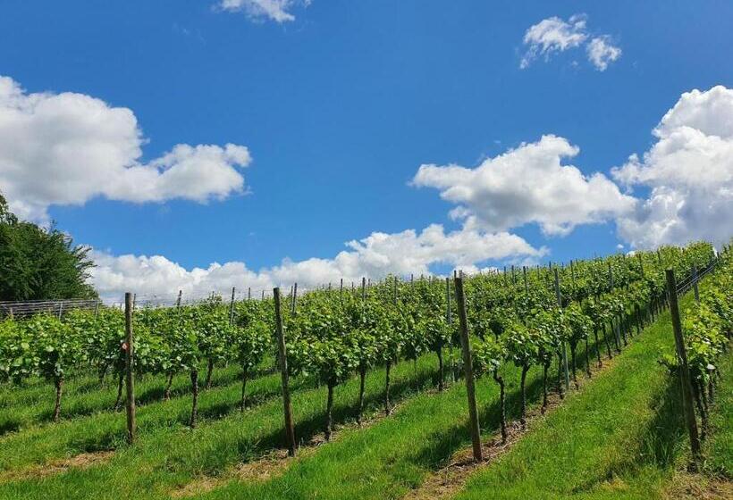 Пансион Gästehaus Wörner