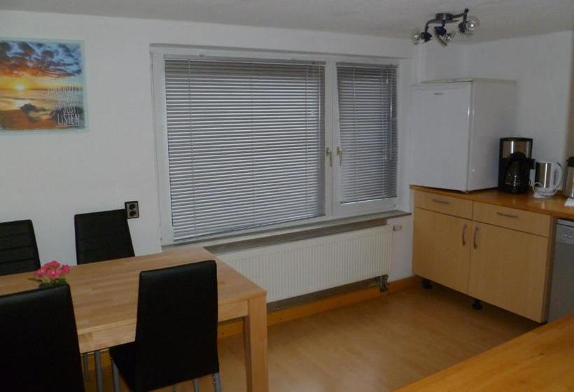 بنسيون Guest House Schneider