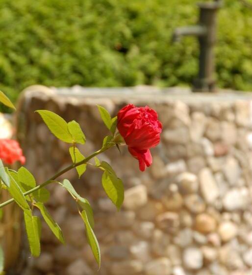 膳宿费 Landhaus Bergleben