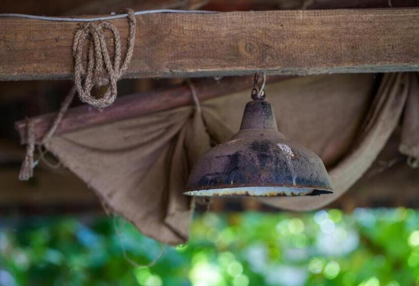 펜션 Landhaus Nienhagen