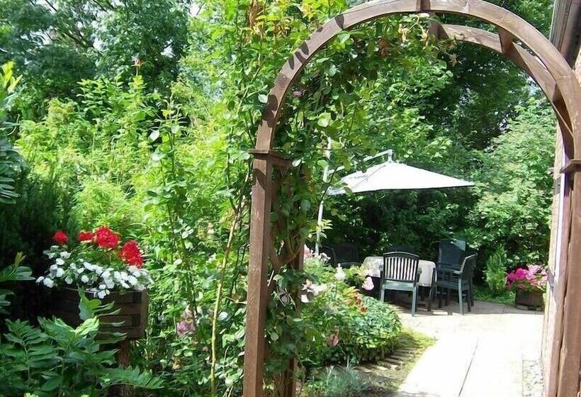 بنسيون Landhaus Zum Heidewanderer Mit Thermeplus