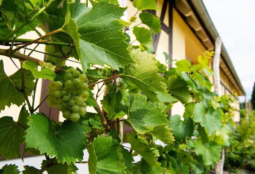 פנסיון Quartier Rautenstock Gbr