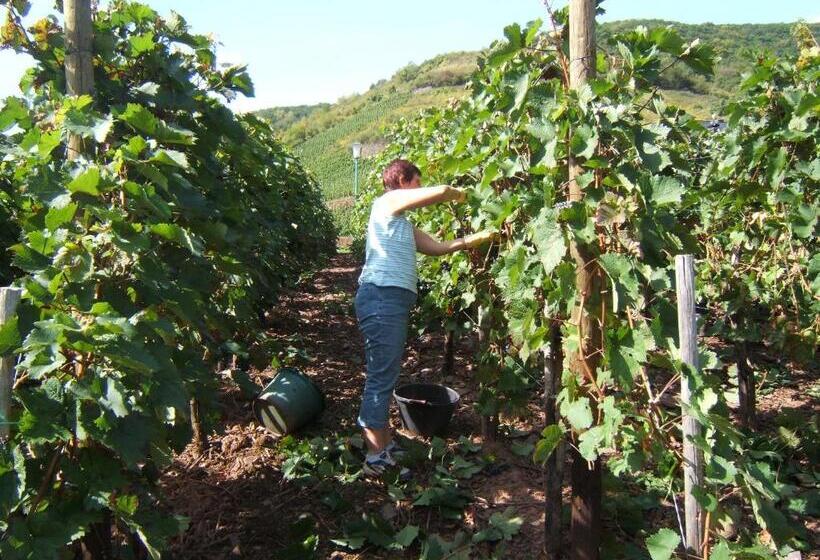 פנסיון Wein  Und Gästehaus St. Aldegundishof