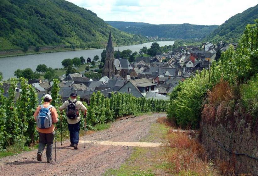ペンション Wein  Und Gästehaus St. Aldegundishof