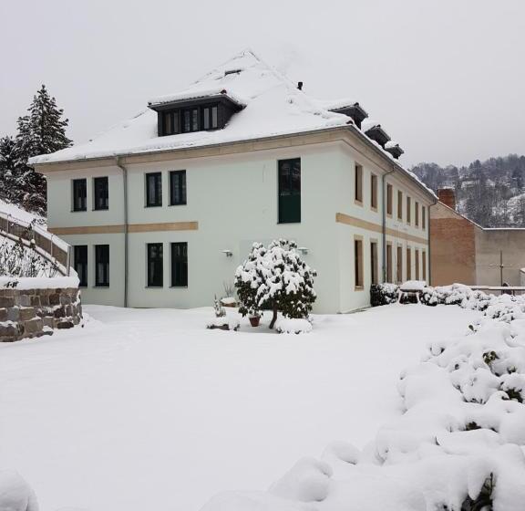 Pension Am Finkenberg