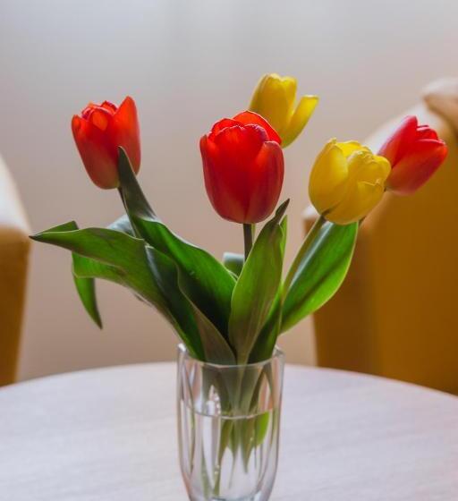 Pension Am Finkenberg