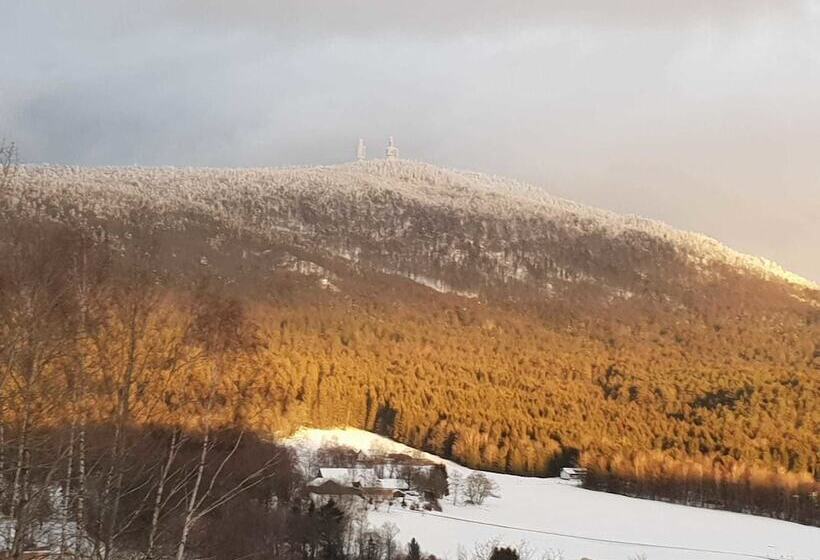 Pension / Ferienwohnungen Ludwig