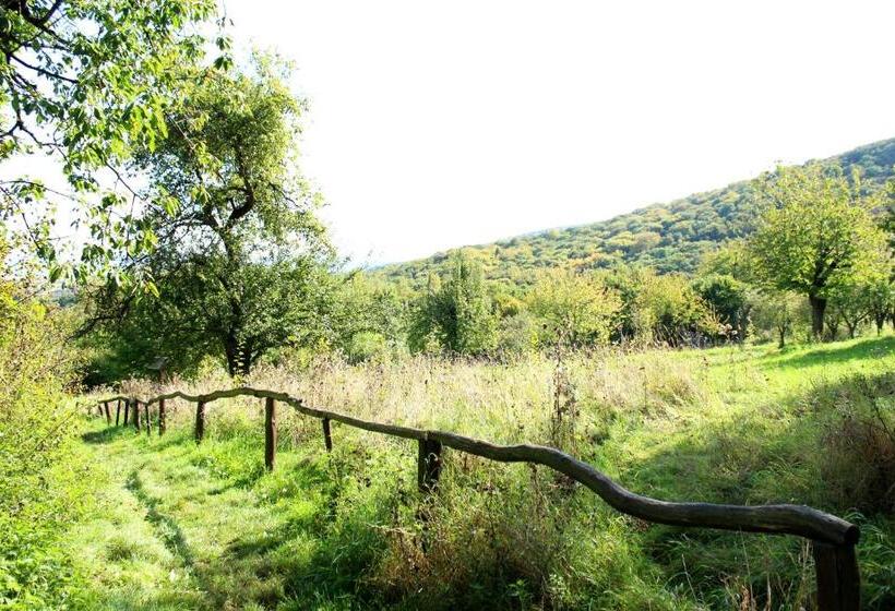 호스텔 Burghof Kyffhäuser