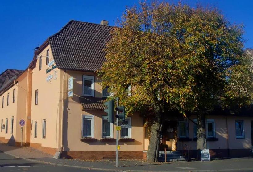 Общежитие Landgasthof Grüner Baum