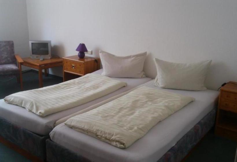 Общежитие Landgasthof Grüner Baum