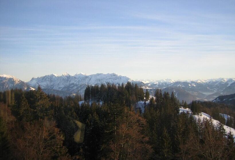 Fruhstuckspension Lavendel