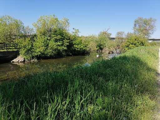 酒店 Ferienwohnungen Stark