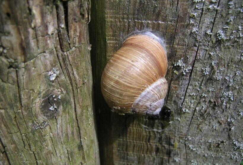 Отель Natur Aktiv Hof Thiem