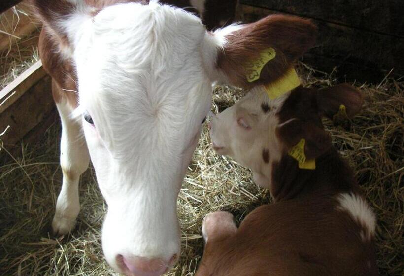 Отель Natur Aktiv Hof Thiem