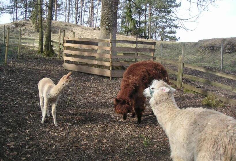 Отель Natur Aktiv Hof Thiem