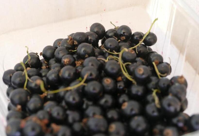 Отель Natur Aktiv Hof Thiem