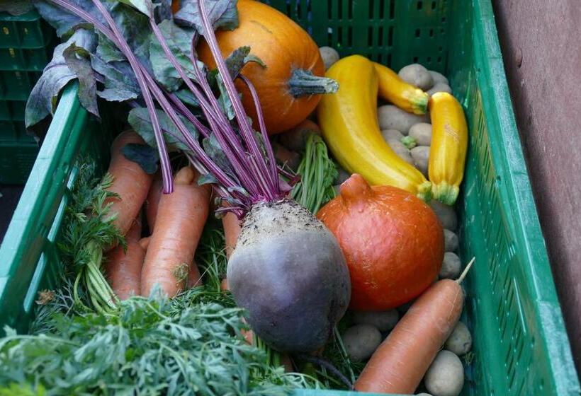 Отель Natur Aktiv Hof Thiem