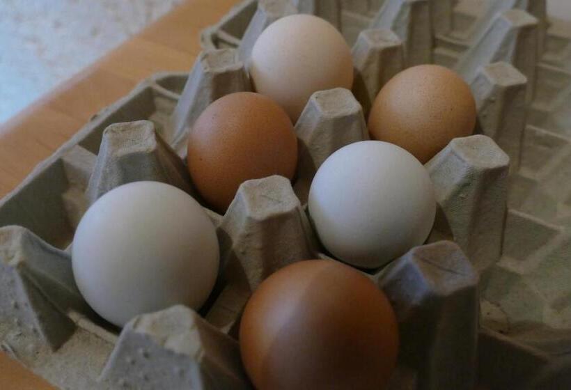 Отель Natur Aktiv Hof Thiem