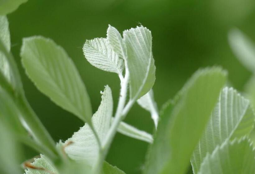 Отель Natur Aktiv Hof Thiem