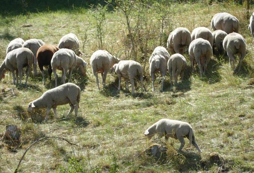 Отель Natur Aktiv Hof Thiem