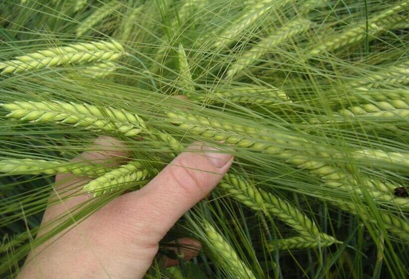 Отель Natur Aktiv Hof Thiem