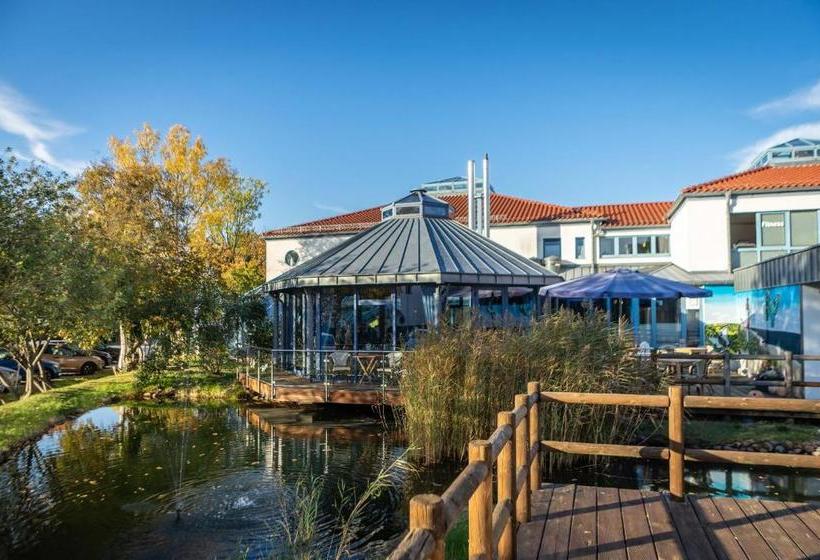 Kurmittelcentrum Zingst