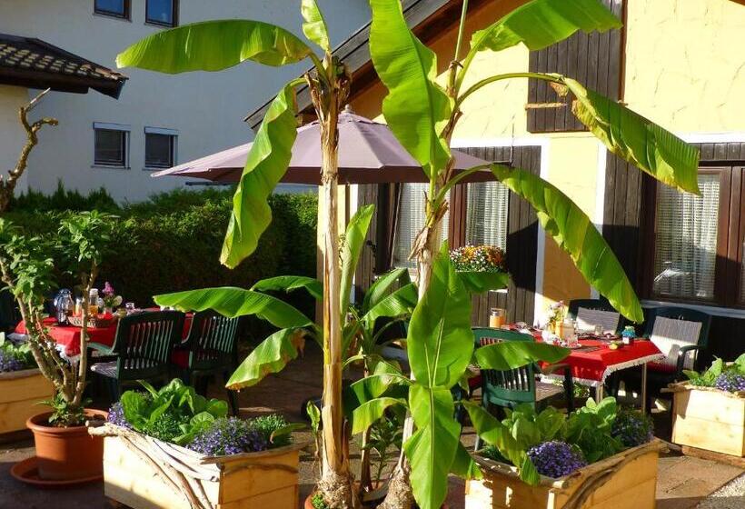 ペンション Casa Shania