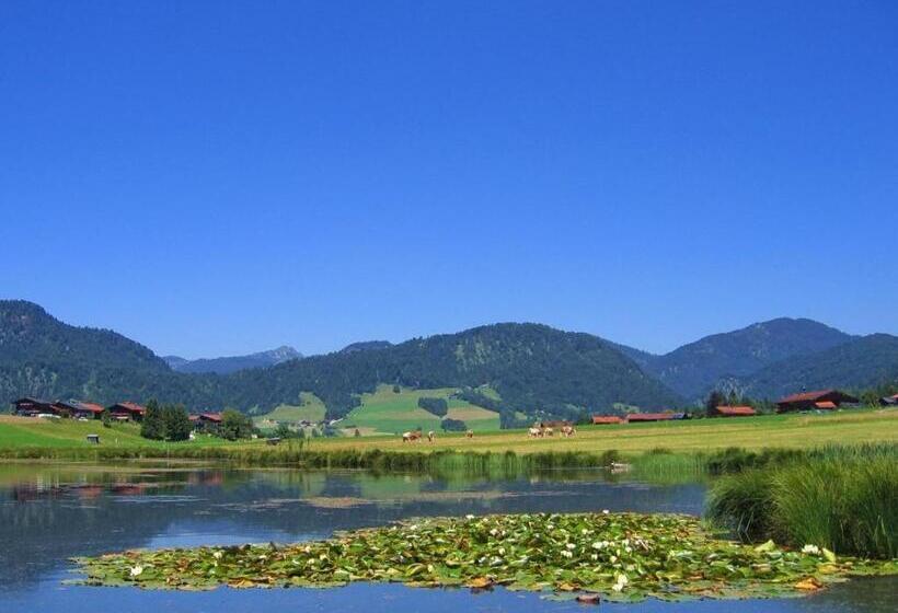 پانسیون Demelhof