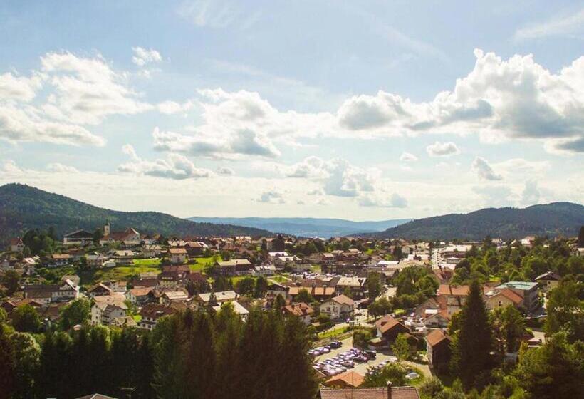 Пансион Drei Tannen